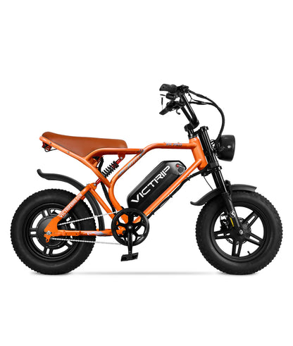 VICTRIP ® R6 Pro