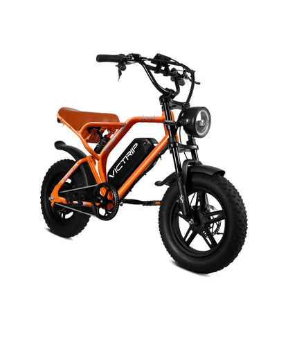 VICTRIP ® R6 Pro